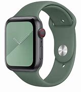 Image result for Apple Watch SportBand