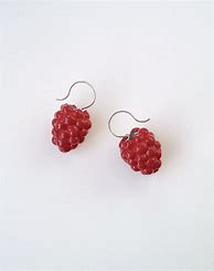 Image result for Metal Raspberry Wire Clips