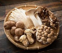Image result for Mushroom Items