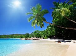 Image result for Tropical Lagoon