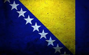 Image result for Bosnia Flag Pics