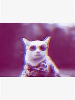 Image result for Trippy Cat Sunglasses