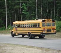 Image result for School Bus Geen