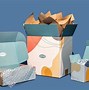 Image result for Packaging Box Design