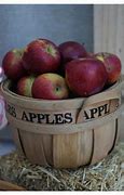 Image result for Vegan Food Apple Basket