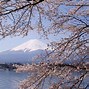 Image result for Mount Fuji Spring