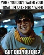 Image result for Office Plant Meme