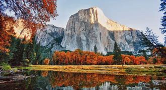 Image result for Best Fall Colors in California