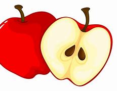 Image result for Apple Cut Seeds Cartoon