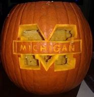 Image result for Funny Michigan Wolverine Memes