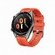 Image result for Huawei Watch GT Ftn B19
