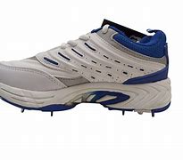 Image result for Cricket Shoes Mr Sport