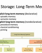 Image result for Long-Term Memory Model