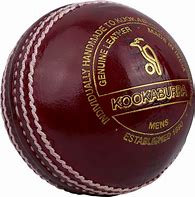 Image result for White Cricket Ball PNG