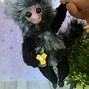Image result for Toy Sleeping Monkey
