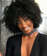 Image result for Natural Hair Afro Wigs