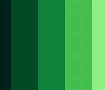 Image result for Color Palette with Dark Green