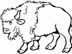Image result for Buffalo Animal Coloring Pages