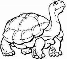 Image result for Turtle Clip Art Black White