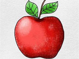 Image result for Drawing Apple Fruit Images