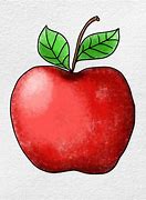 Image result for Apple Drawing Illustrator