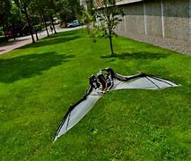 Image result for Bat Concept On Drone