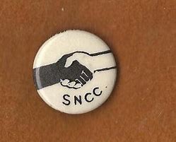 Image result for Black Power Pins