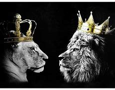 Image result for Lion King Queen