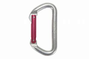 Image result for Red Carabiner