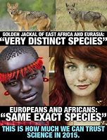 Image result for Meme About Different Cultures