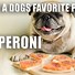 Image result for Pizza Memes Clean