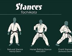 Image result for Basic Karate Stances