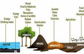 Image result for Another Name for Resources