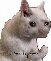 Image result for Crying Cat Meme Transparent