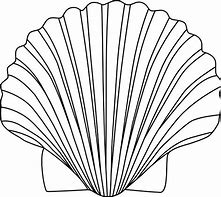 Image result for Black and White Sea Shell Clip Art Free