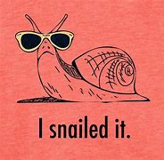 Image result for Snail Cat Meme