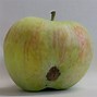 Image result for Ugly Apple's Sort Apple's
