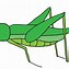 Image result for Happy Grasshopper Cartoon