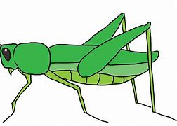 Image result for Cartoon Grasshopper Clip Art