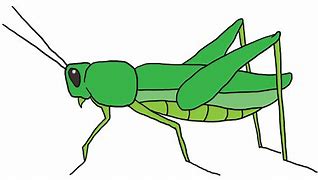 Image result for Crickets Chirping Wall Art