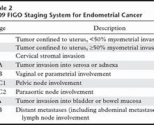 Image result for Endometrial Cancer Stage 2B