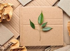 Image result for Eco Packaging Solutions