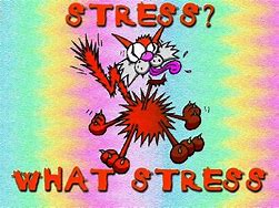 Image result for Stressed Out Meme Funny