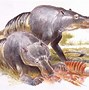 Image result for Largest Carnivore On Land