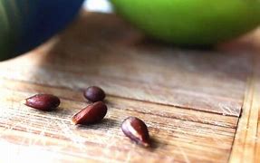 Image result for Blue Appleseeds