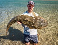 Image result for 10 Meter Falthead