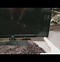 Image result for LG TV Intermittent Black Screen
