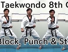 Image result for Taekwondo Kicks and Punches