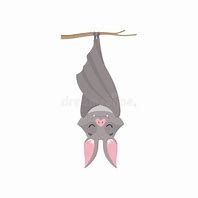Image result for Cartoon Bat Hanging
