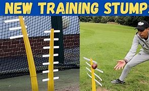 Image result for Middle Stump Wicket